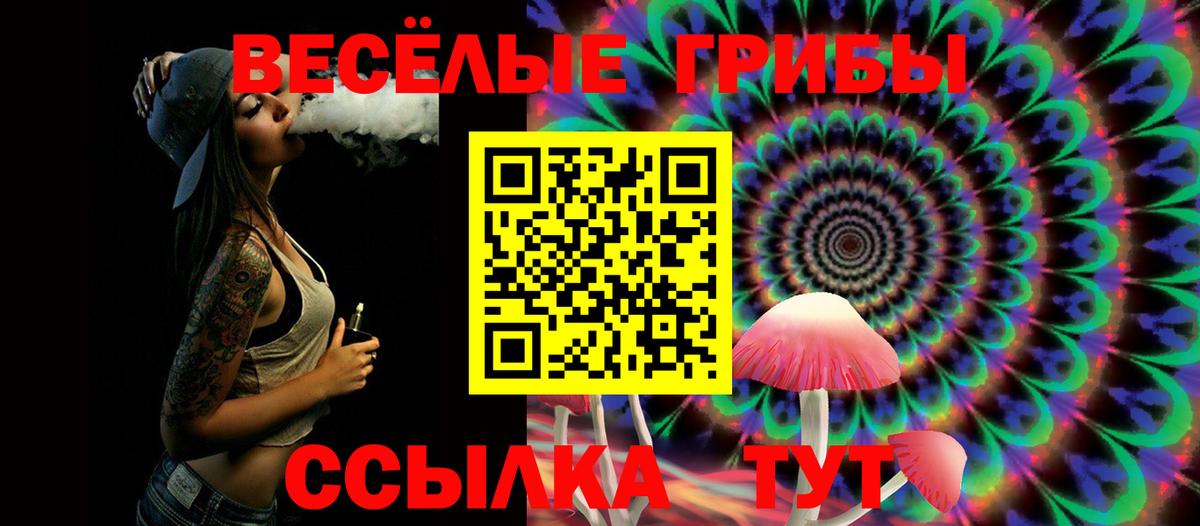 Галлюциногенные грибы Psilocybe  Галлюциногенные грибы мицелий  Вход с VPN  Чернушка 